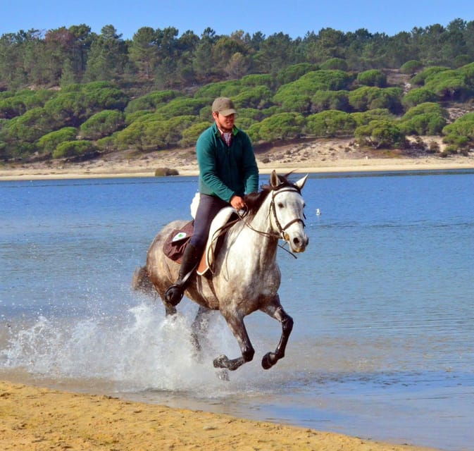 Horse riding in the Valley, near Lisbon - Whats Included & What to Expect