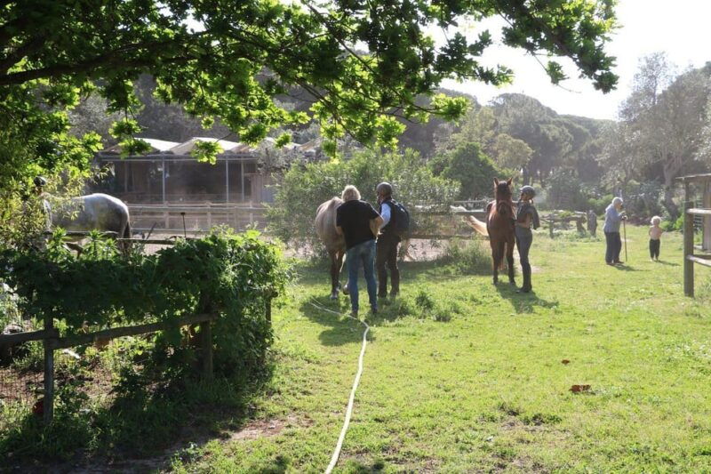 Horse riding in the Valley, near Lisbon - The Experience from a Traveler’s Perspective