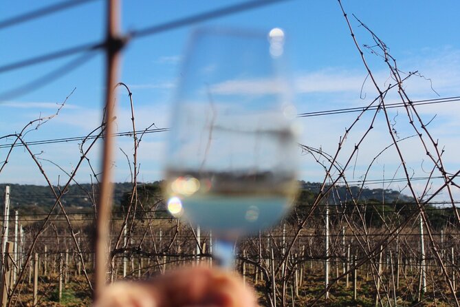 Horse Riding in the Vineyards of Grimaud Wine Tasting - What to Expect