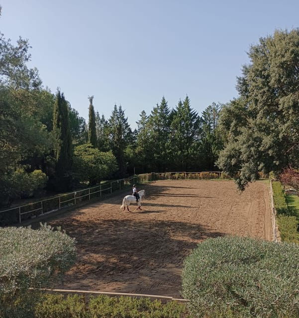Horse Riding Lesson & Lunch & Regional Wine Tasting - Good To Know