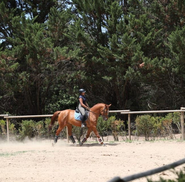 Horse Riding Lesson & Lunch & Regional Wine Tasting - Scenic Lunch with Panoramic Views