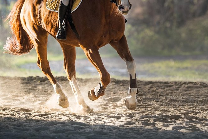 Horse Riding Morning Ride in Paros - Scenic Trails and Beaches