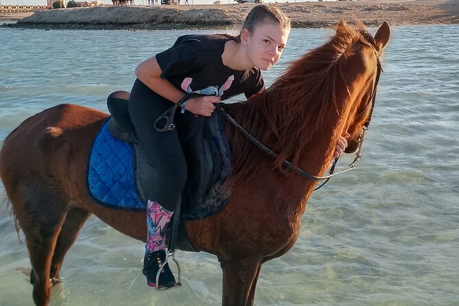 Horse Riding on the Beach and Desert 3 Hours From Hurghada - Good To Know
