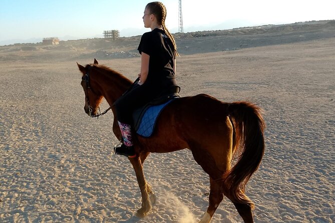 Horse Riding on the Beach and Desert 3 Hours From Hurghada - Includes