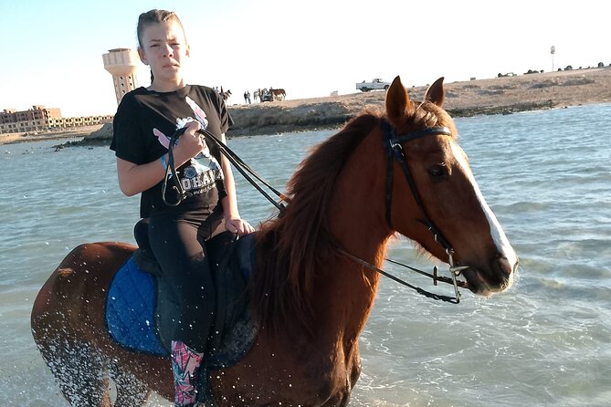 Horse Riding on the Beach and Desert 3 Hours From Hurghada - Additional Transfer Cost