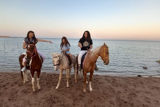 Horse Riding on the Beach and Desert 3 Hours From Hurghada - Location