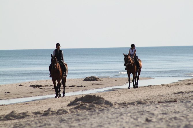 Horse Riding on the Beach, Rhodes - Cancellation Policy, Reviews, and Questions