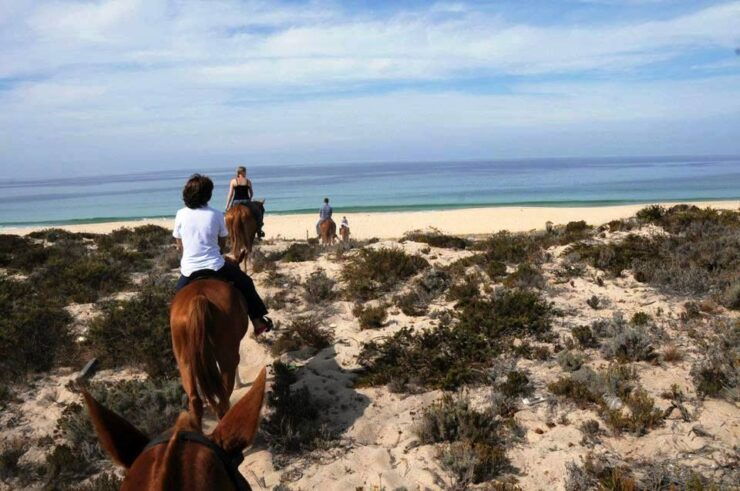 Horse Riding on the Beach With Private Transfer From Lisbon - Activity Details