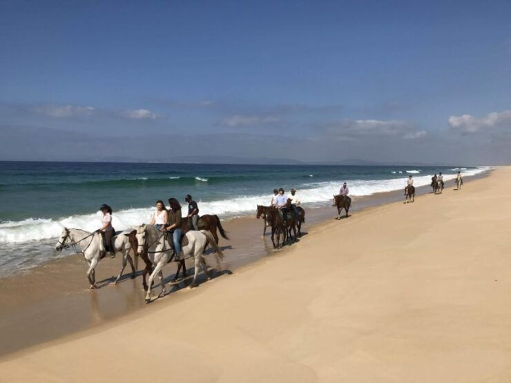 Horse Riding on the Beach With Private Transfer From Lisbon - Itinerary