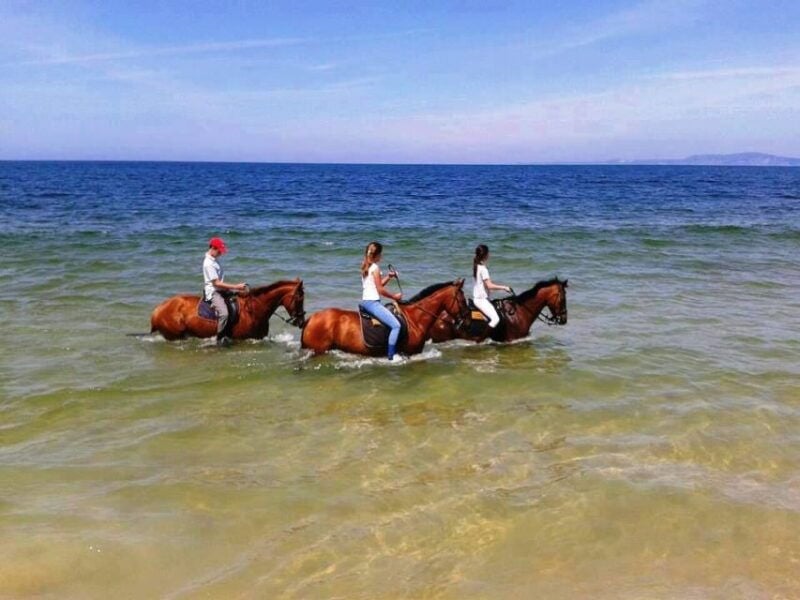 Horse riding on the beach, with private transfer from Lisbon - Horse riding on the beach, with private transfer from Lisbon: A Complete Review