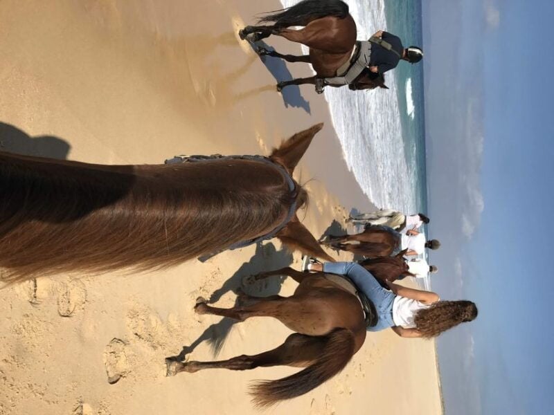 Horse riding on the beach, with private transfer from Lisbon - Exploring the Experience in Detail