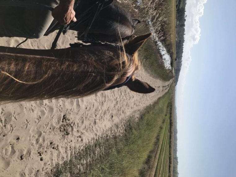 Horse riding on the beach, with private transfer from Lisbon - Comparing Value and Cost  