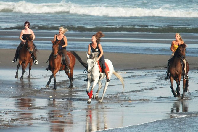 Horse Riding on the Black Sand Beach and Free Hotel Transfers - Experience Highlights