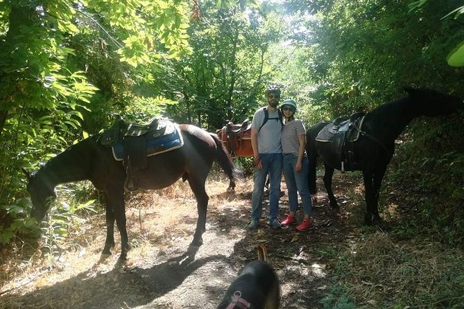 Horse Riding on Vesuvius - What to Expect
