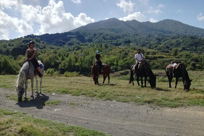 Horse Riding on Vesuvius - Cancellation Policy