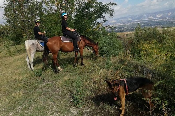 Horse Riding on Vesuvius - Traveler Photos and Reviews