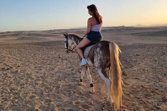 Horse Riding One Hours at Amazing Desert With Transfer - Marsa Alam - Cancellation Policy