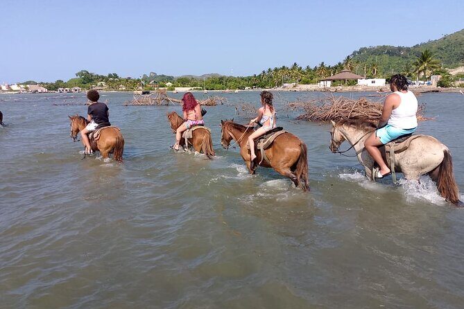 Horse Riding Puerto Plata - Exploring the Puerto Plata Horse Riding Experience