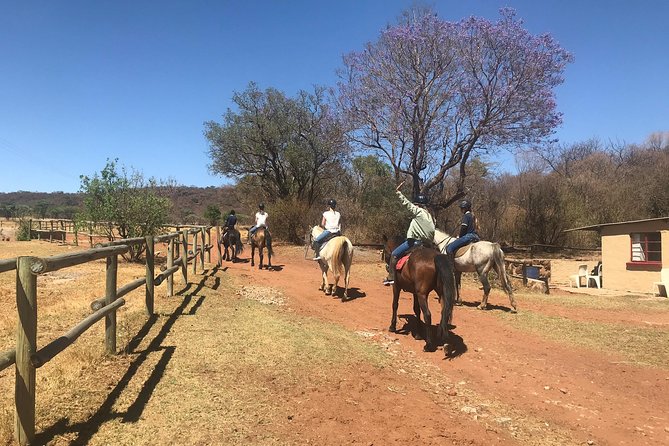 Horse Riding Safari From Johannesburg - Best Time to Go on a Horse Riding Safari
