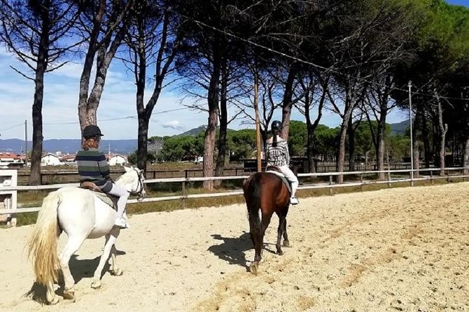 Horse Riding Small Group Near Lucca - Tour Details