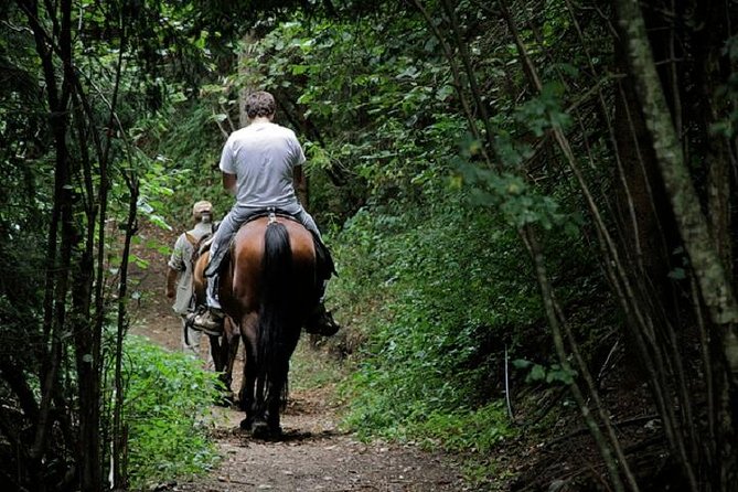 Horse Riding Small Group Near Lucca - Pricing and Additional Information
