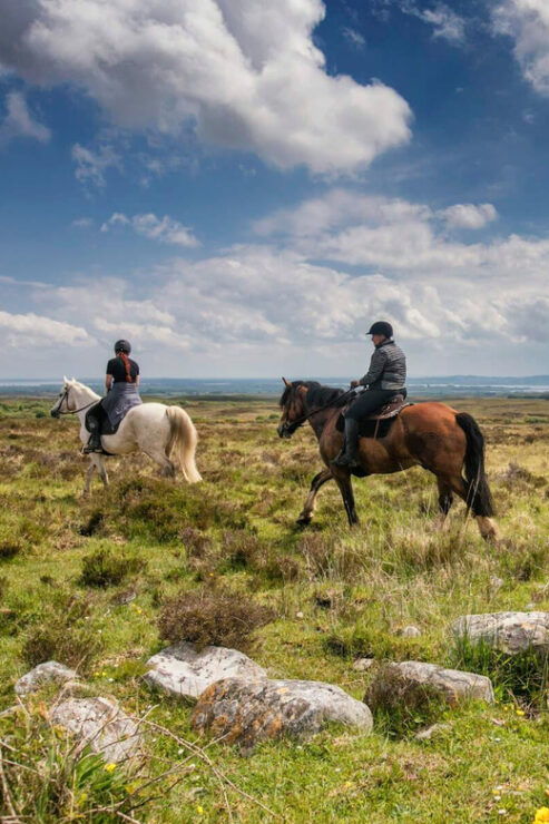 Horse Riding the Dirt Trail. Clare. Guided. 1 Hour - Booking Information
