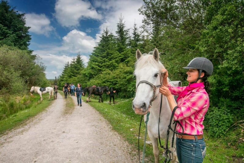 Horse riding the mountain trail. Clare. Guided, 2 hours - Good To Know