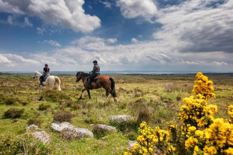 Horse riding the mountain trail. Clare. Guided, 2 hours - Why This Tour Is Worth Considering