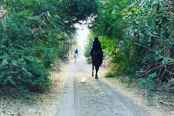 Horse Riding Through Beautiful Nature in Madinah - Good To Know