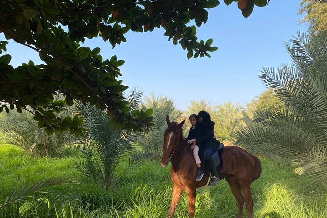 Horse Riding Through Beautiful Nature in Madinah - Participation and Private Tour Information