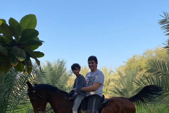 Horse Riding Through Beautiful Nature in Madinah - The Sum Up