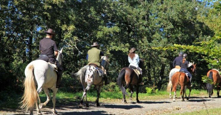 Horse Riding Through the Valleys + Food Tasting - Activity Overview