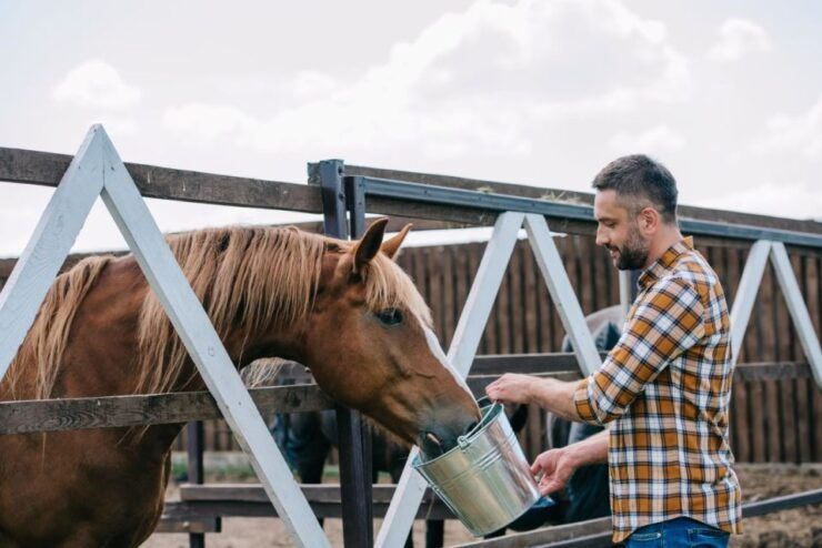 Horse Riding Through the Valleys + Lunch - Good To Know
