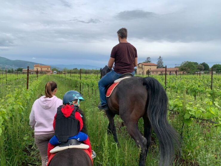 Horse Riding Through the Valleys + Lunch - Price and Duration