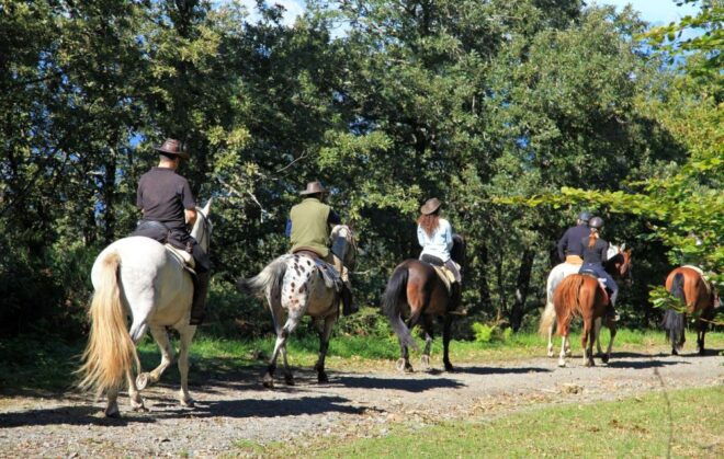 Horse Riding Through the Valleys + Lunch - Instructor and Experience