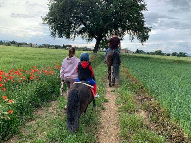 Horse Riding Through the Valleys + Lunch - Inclusions and Restrictions
