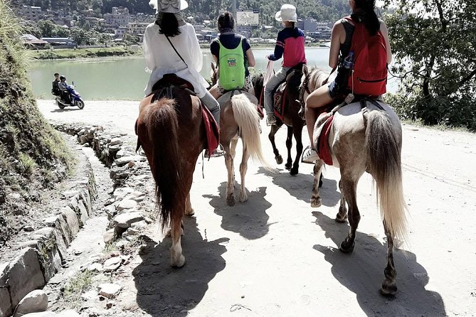 Horse Riding to Sarangkot, Pony Trek in Pokhara to Sarangkot - Lowest Price Guarantee: Get the Best Deal