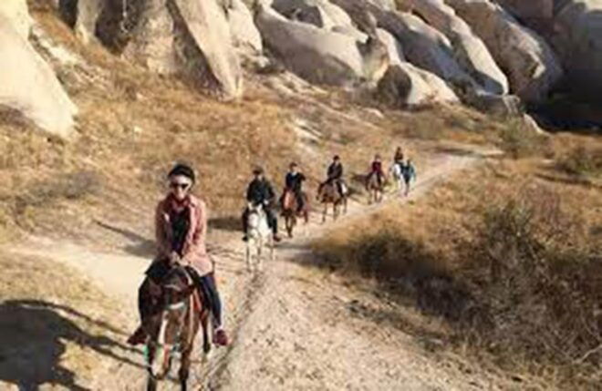 Horse Riding Tour - Safety Measures