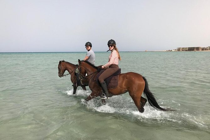 Horse Riding Tour For 3 Hours, Swimming By Horse - Hurghada - Good To Know
