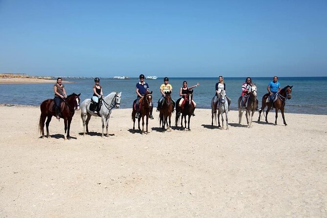 Horse Riding Tour For 3 Hours, Swimming By Horse - Hurghada - Cancellation Policy