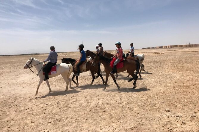 Horse Riding Tour For 3 Hours, Swimming By Horse - Hurghada - Pricing Information