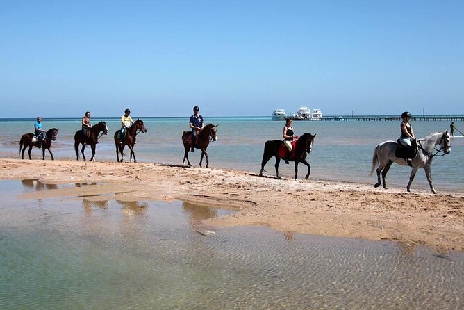 Horse Riding Tour For 3 Hours, Swimming By Horse - Hurghada - Booking Procedure