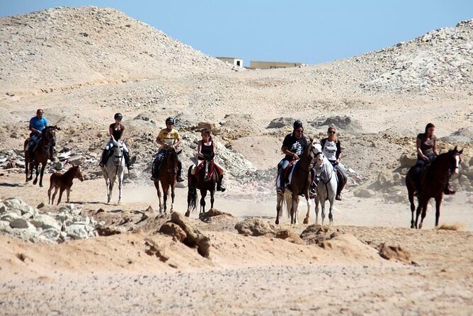 Horse Riding Tour For 3 Hours, Swimming By Horse - Hurghada - Customer Reviews