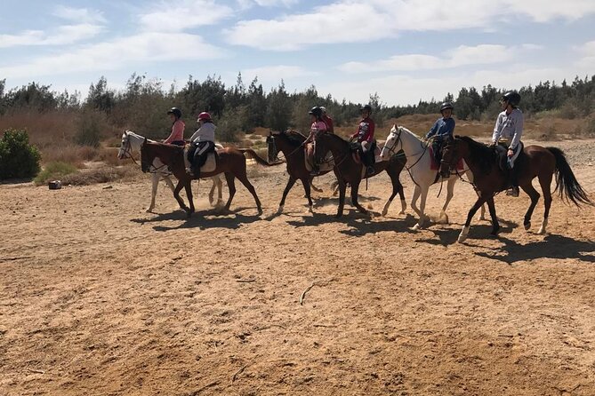 Horse Riding Tour For 3 Hours, Swimming By Horse - Hurghada - Additional Information