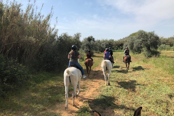 Horse-Riding Tour From Seville  - Andalucia - Additional Information
