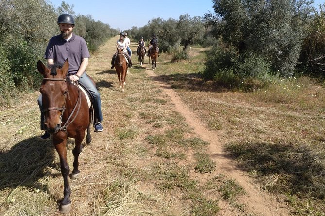 Horse-Riding Tour From Seville  - Andalucia - Pickup and Transportation Details