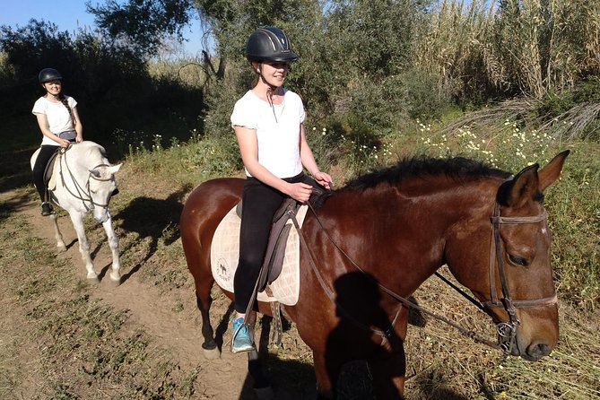 Horse-Riding Tour From Seville  - Andalucia - Common Questions