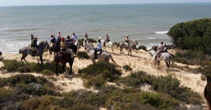 Horse-Riding Tour in Doñana National Park - Activity Details