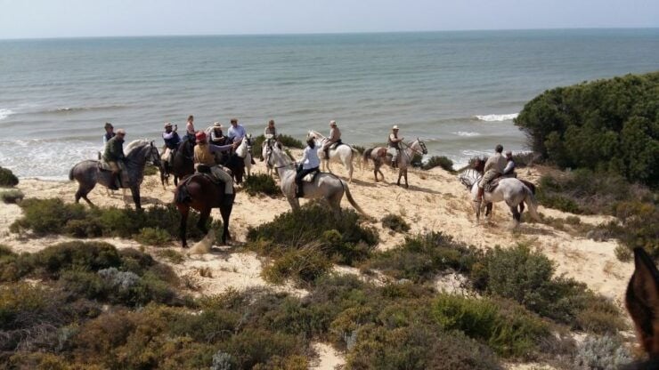 Horse-Riding Tour in Doñana National Park - Booking Information