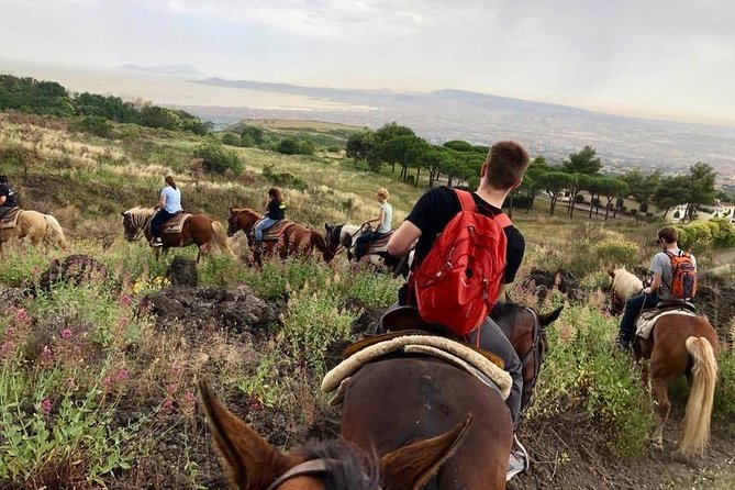 Horse Riding Tour, Naples - Cancellation Policy